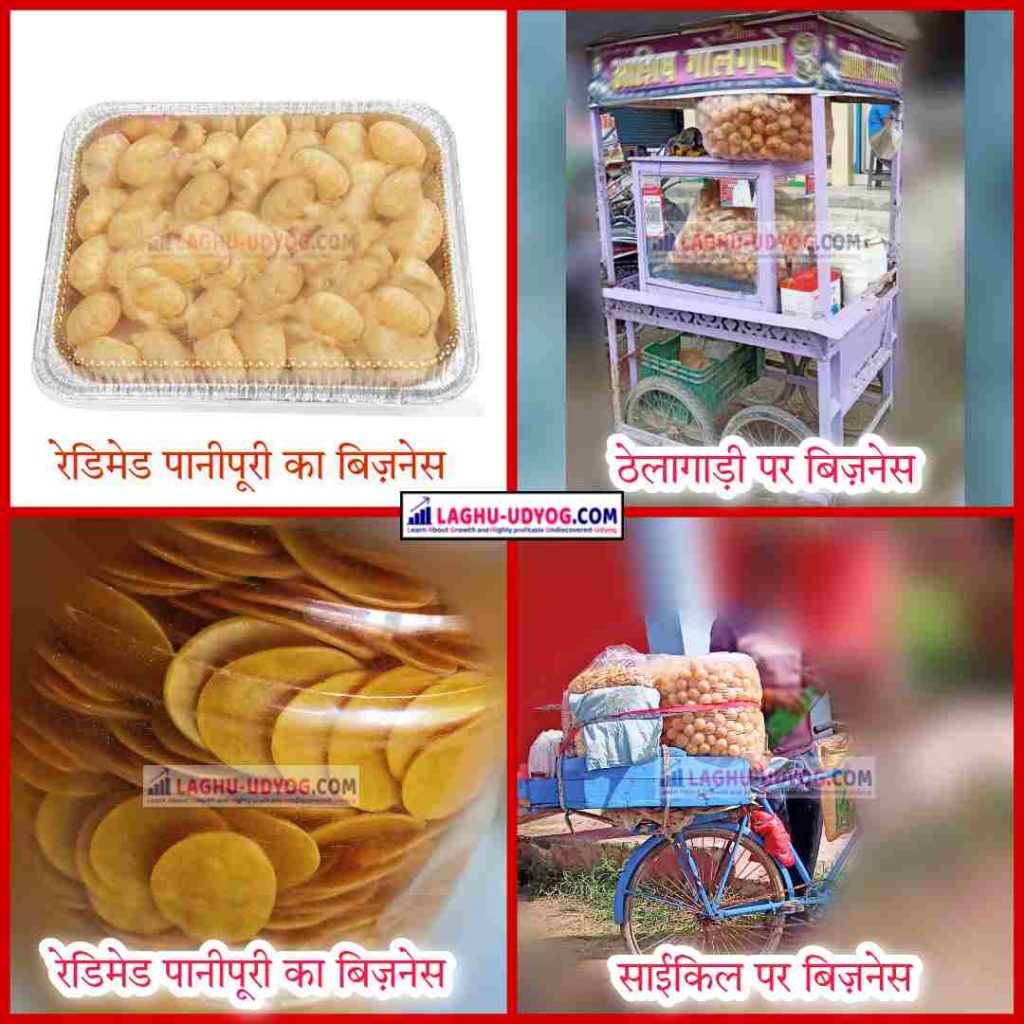 Types of Pani Puri Business in India